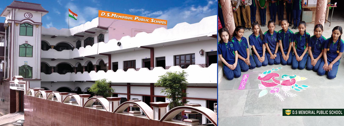 DS Memorial Public School