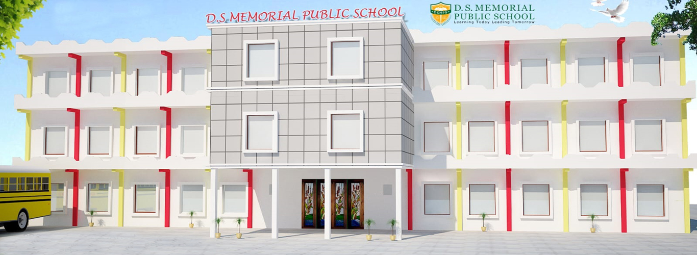 DS Memorial Public School